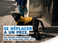 Chien-guide en harnais à côté de sa personne utilisatrice. Slogan : « Se déplacer a un prix. »